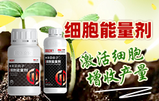 �б����r(n��ng)���������r(n��ng)�I(y��)�Ƽ��l(f��)չ���޹�˾