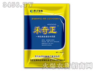 �����x����ˎ��-������-�еº���