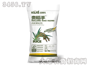 ˎ���w����-�F����-�к���(r��n)��