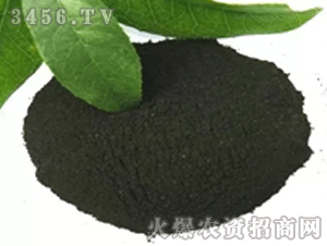 ������ֲ��ԭ��-����