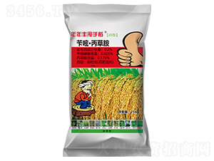 �S�ס����ݰ�������ˎ��-˦�ֵ�-�����S����