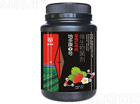 草莓紅中柱專用微生物菌劑-地多康2號-瑞倍達