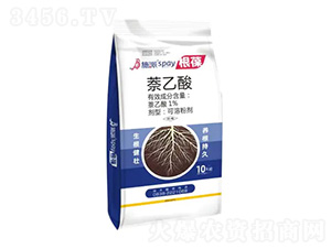 ʩ�ɸ���-ʩ������