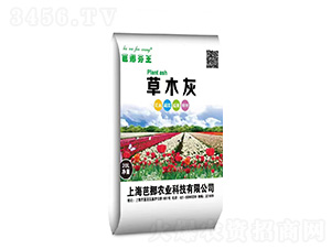 ��ľ��-܊�S�r�I