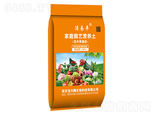 ���ܹ����ͼ�ͥ�@ˇ�I�B��38L-�����S-܊�S�r�I