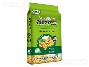 �l�ʹ�-��ʩ��-܊�S�r�I