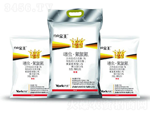 1%���x���������w����-�s�˽���-�s���r��