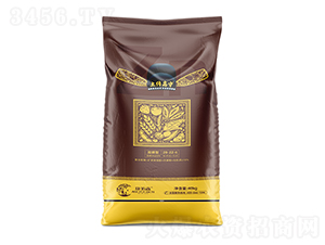 ����ˎ��-��������-����ɭ