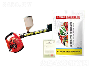 ʮ���r�I�o�΢��-ʮ���r�I