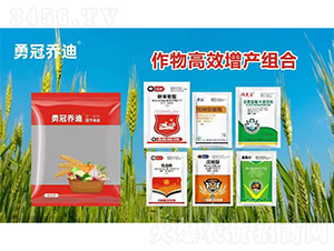 �����Ч���a�M��-�{��-�¹چ̵�