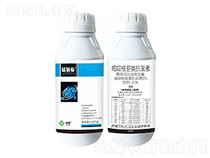 2%��ऺ��������-����̩-���՘�