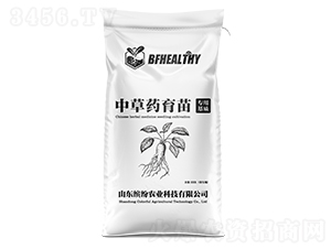 �в�ˎ������|-�_���r�I