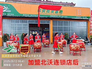 ���˱����B�i���1-�����r�I