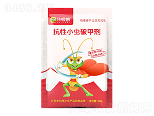 ����С�x�Ƽׄ�-�����-ϲ��{��