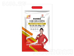 5kg�۹Ȱ����ʹ���Ԫ��ˮ�ܷ���19-19-19+Mg+TE-�ƹ�ʯ