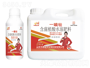 ����ֲ��ˮ�ܷ���-һ����-�ƹ�ʯ