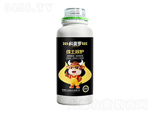 �����p�o(h��)-�����_