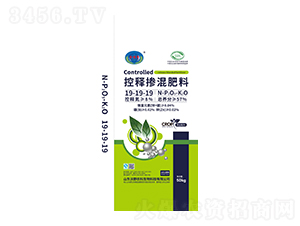 ��ጓ������19-19-19-��Ұ�r��