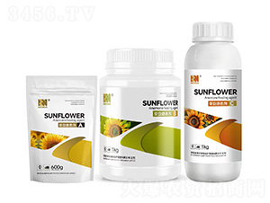 ���P������A+B+C�M���ײ�-�Pِ�Z