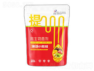 ΢�������-ɺ��С�Ĺ�-�����r�I