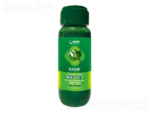 �޻���⏶�-���_��ʢ-������