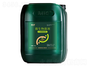 ΢������������������ͣ�-������