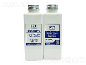 �{�בҹ��}-�������r�I